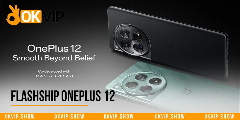 Flashship Oneplus 12